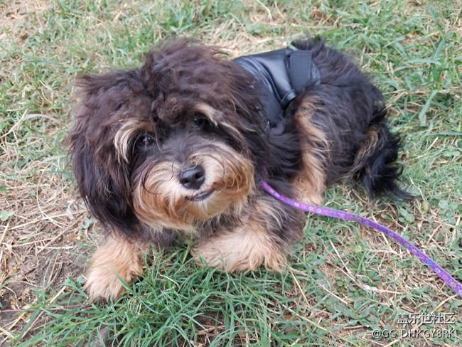 我家的“小七月”