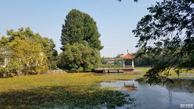 【瑰麗時分】+廢棄公園的美麗