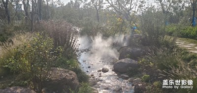 上海市奉賢區(qū)，不太會(huì)拍照
