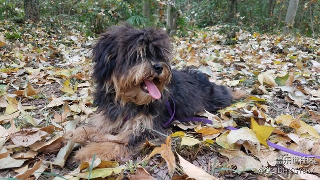 我家的“小七月”