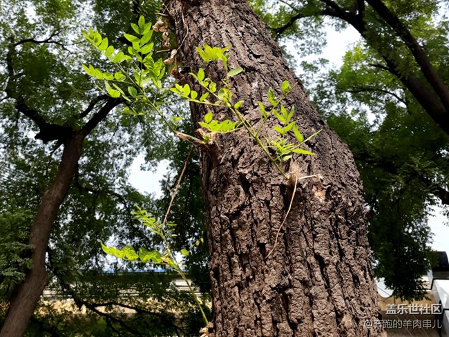 玩轉(zhuǎn)性價比 三星Galaxy M30s體驗(yàn) 玩轉(zhuǎn)性價比 三星Galaxy M30s體驗(yàn)