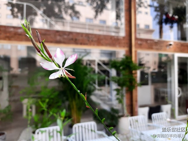 玩轉(zhuǎn)性價比 三星Galaxy M30s體驗(yàn) 玩轉(zhuǎn)性價比 三星Galaxy M30s體驗(yàn)