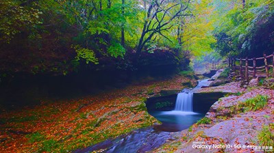 蓋樂(lè)世Note10+ 秦嶺秋日（一）