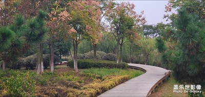 青島膠州少海濕地公園，國(guó)家級(jí)4A景區(qū)