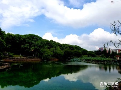 學(xué)校的湖還不錯(cuò)