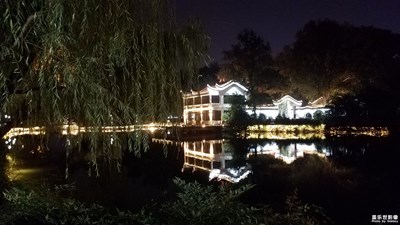 【瑰麗時分】+河的夜