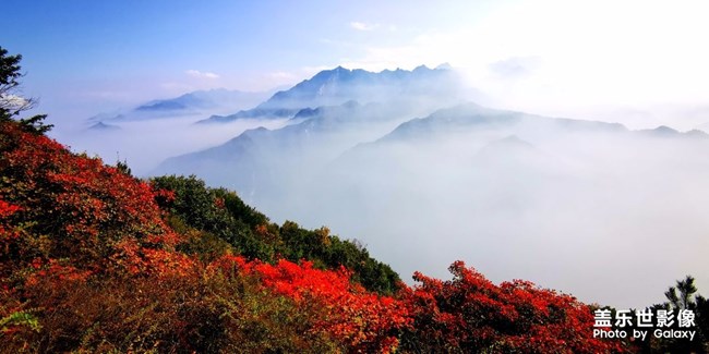 轉(zhuǎn)載看看，“”面對疾風(fēng)吧”