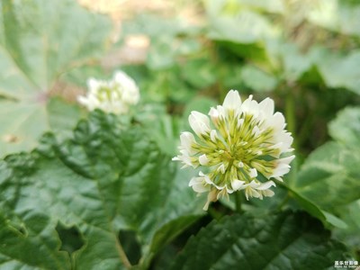 【你眼中的美景】+不經(jīng)意間的美麗