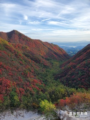 漫山遍野都是紅葉秋意盎然