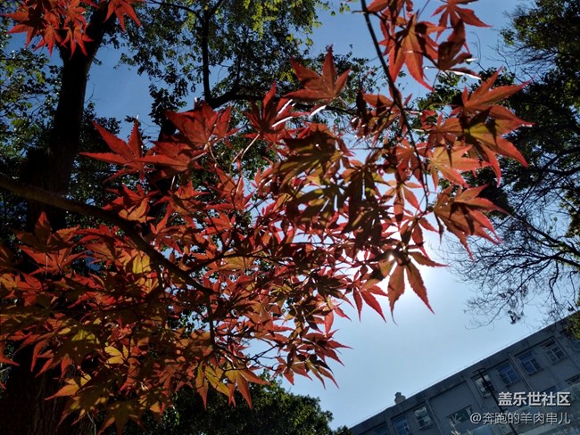 不到千元性價比小王子 三星Galaxy A20s體驗