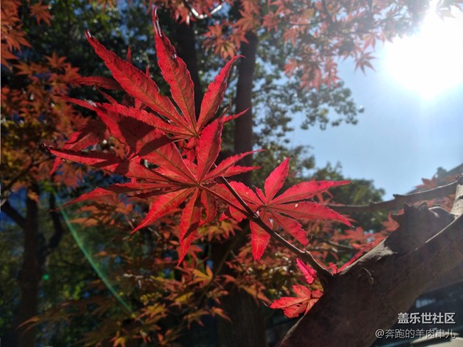 不到千元性價比小王子 三星Galaxy A20s體驗