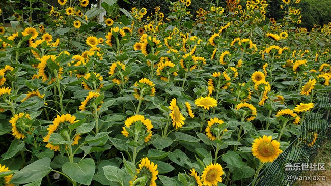 【活動回顧】蘇州星部落上方山燒烤活動