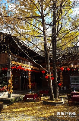 云南游隨拍（2）