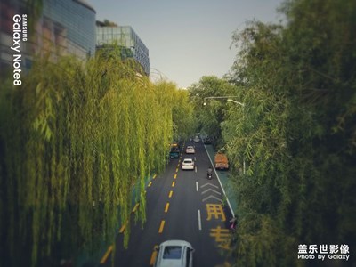 【你眼中的美景】+泉城路