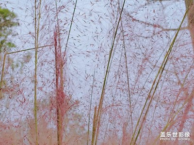 風景