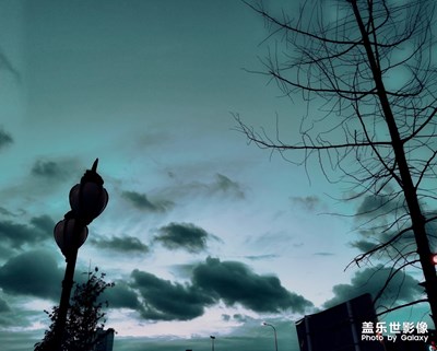 隨手