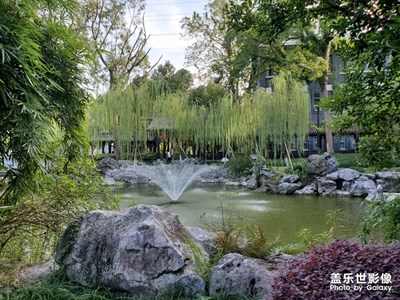公園隨拍，墨池！同鄉(xiāng)來點(diǎn)個(gè)贊！