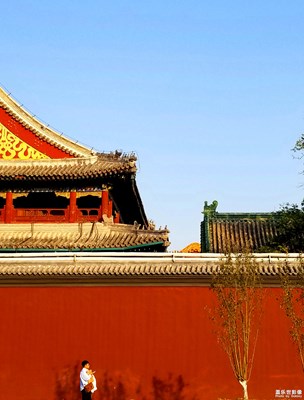 【你眼中的美景】+紅黃之間