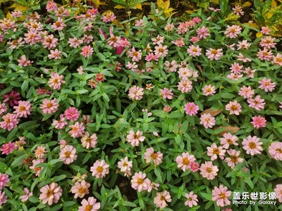 如何調(diào)整成為德系色系？