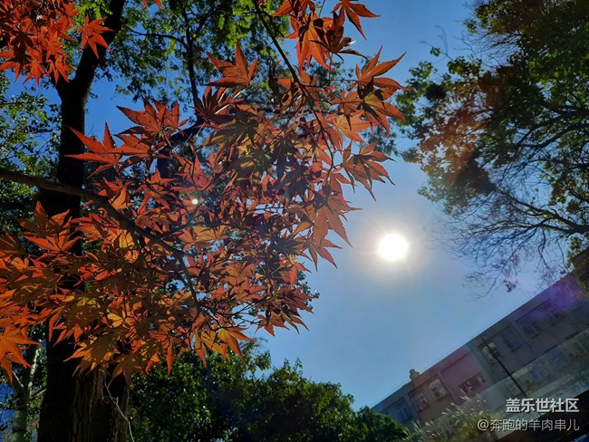 許久未見的超薄機身 三星Galaxy A50s體驗