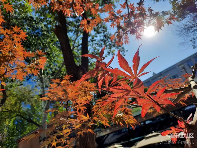 許久未見的超薄機身 三星Galaxy A50s體驗