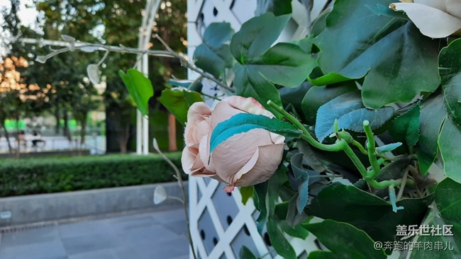 許久未見的超薄機身 三星Galaxy A50s體驗