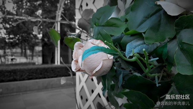 許久未見的超薄機身 三星Galaxy A50s體驗