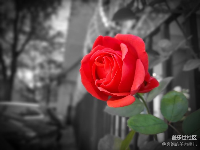 許久未見的超薄機身 三星Galaxy A50s體驗