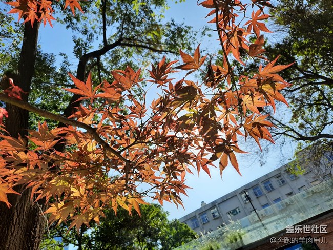 許久未見的超薄機身 三星Galaxy A50s體驗