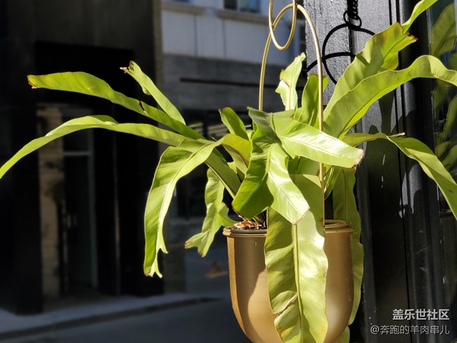 現(xiàn)在即未來 Samsung Galaxy Fold評測