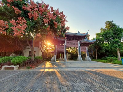 【你眼中的美景】+金秋十月