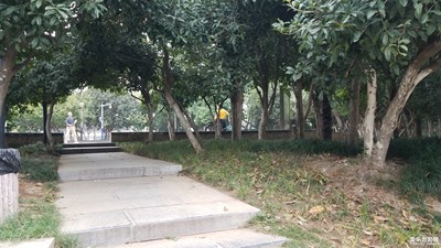 【你眼中的美景】+清凈的小花園