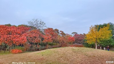已開獎(jiǎng)【蓋樂世影像周賽第114期】——晚秋光影