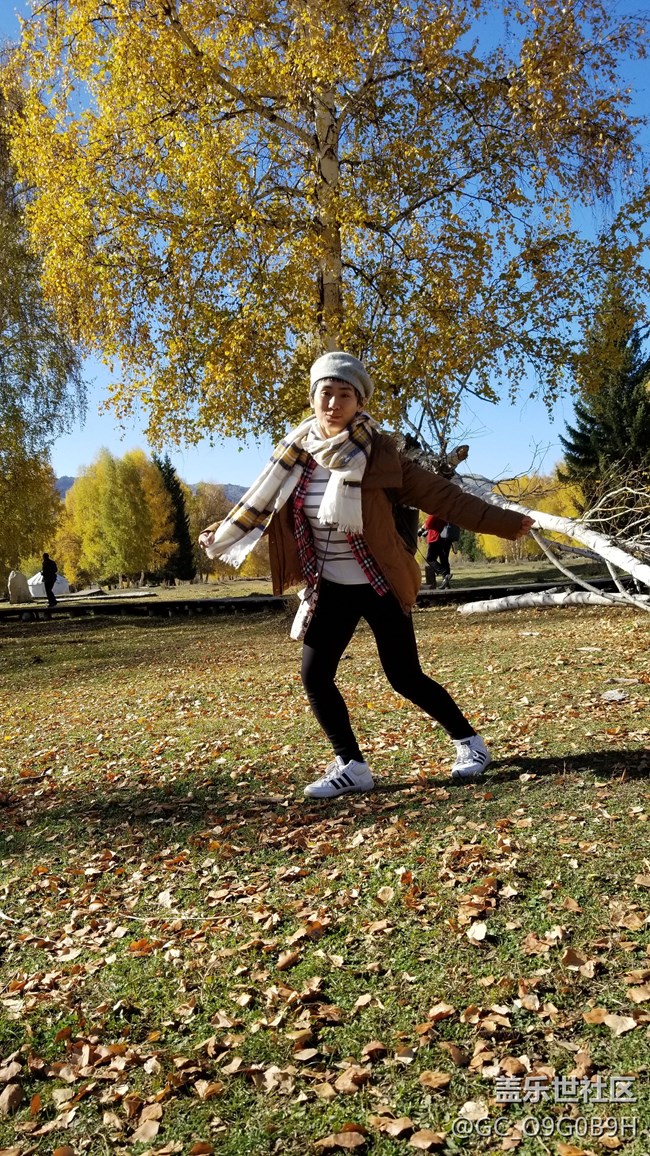 千萬(wàn)不要更新相冊(cè)！新字體太丑了