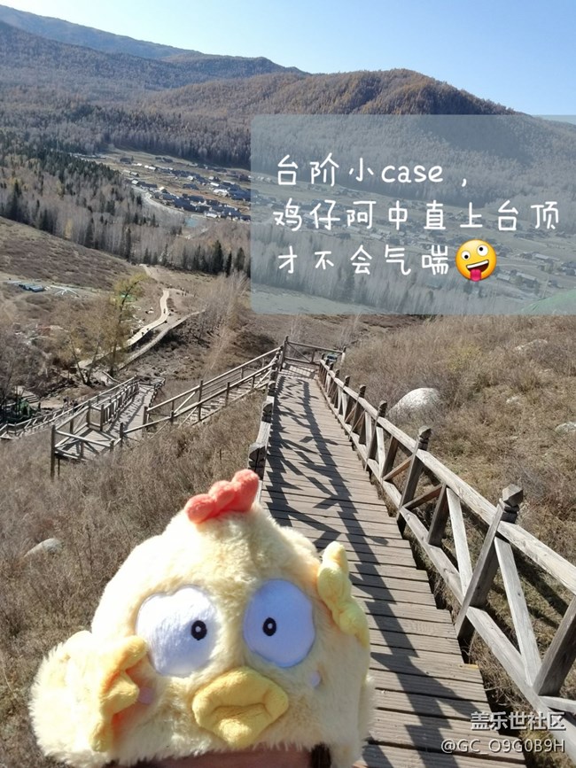 千萬(wàn)不要更新相冊(cè)！新字體太丑了