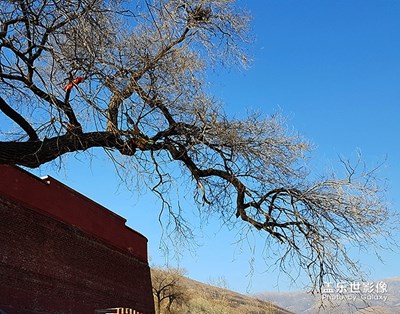 五臺(tái)山隨拍（1）