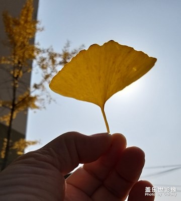 秋天