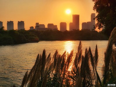 【晚秋光影】+秋日物語