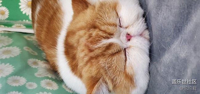 【Galaxy Note10系列體驗(yàn)】+正好的10代 【Galaxy Note10系列體驗(yàn)】+正好的10代