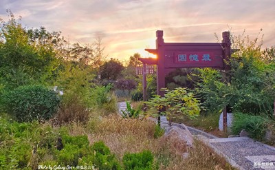 GalaxyS10+ 記得那一天（一）