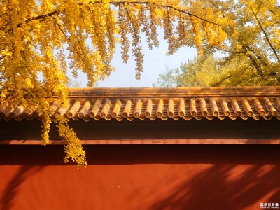 已開獎【蓋樂世影像周賽第115期】——我的城