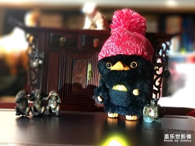 嗅嗅手伴