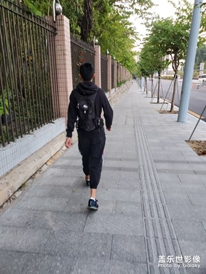 一棵獨(dú)秀