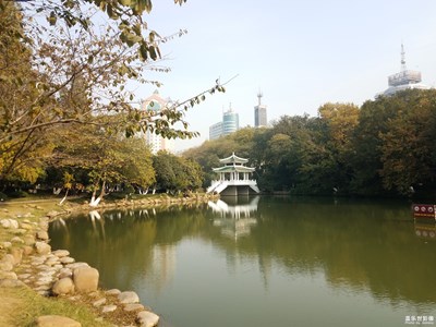 【晚秋光影】+暖暖秋日陽(yáng)光下的銀河公園