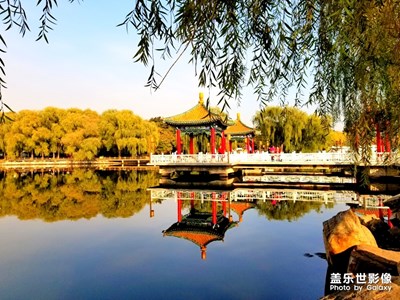 【晚秋光影】+長(zhǎng)春南湖秋色
