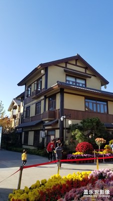 河南南陽西峽仲景養(yǎng)生小鎮(zhèn)菊花展