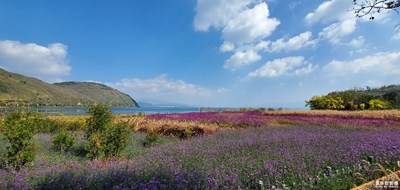 一個(gè)詩(shī)和遠(yuǎn)方的地方