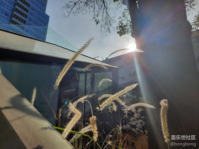 【每周星鮮事】第11期：什么才是你認為的暖胃好食呢？