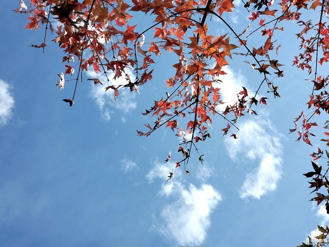 【每周星鮮事】第11期：什么才是你認為的暖胃好食呢？