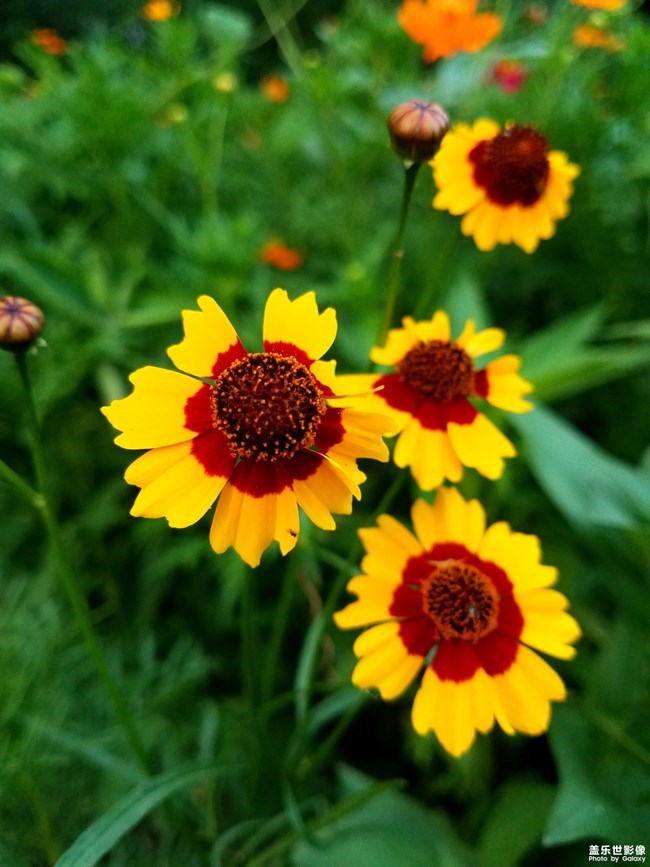 【每周星鮮事】第11期：什么才是你認為的暖胃好食呢？